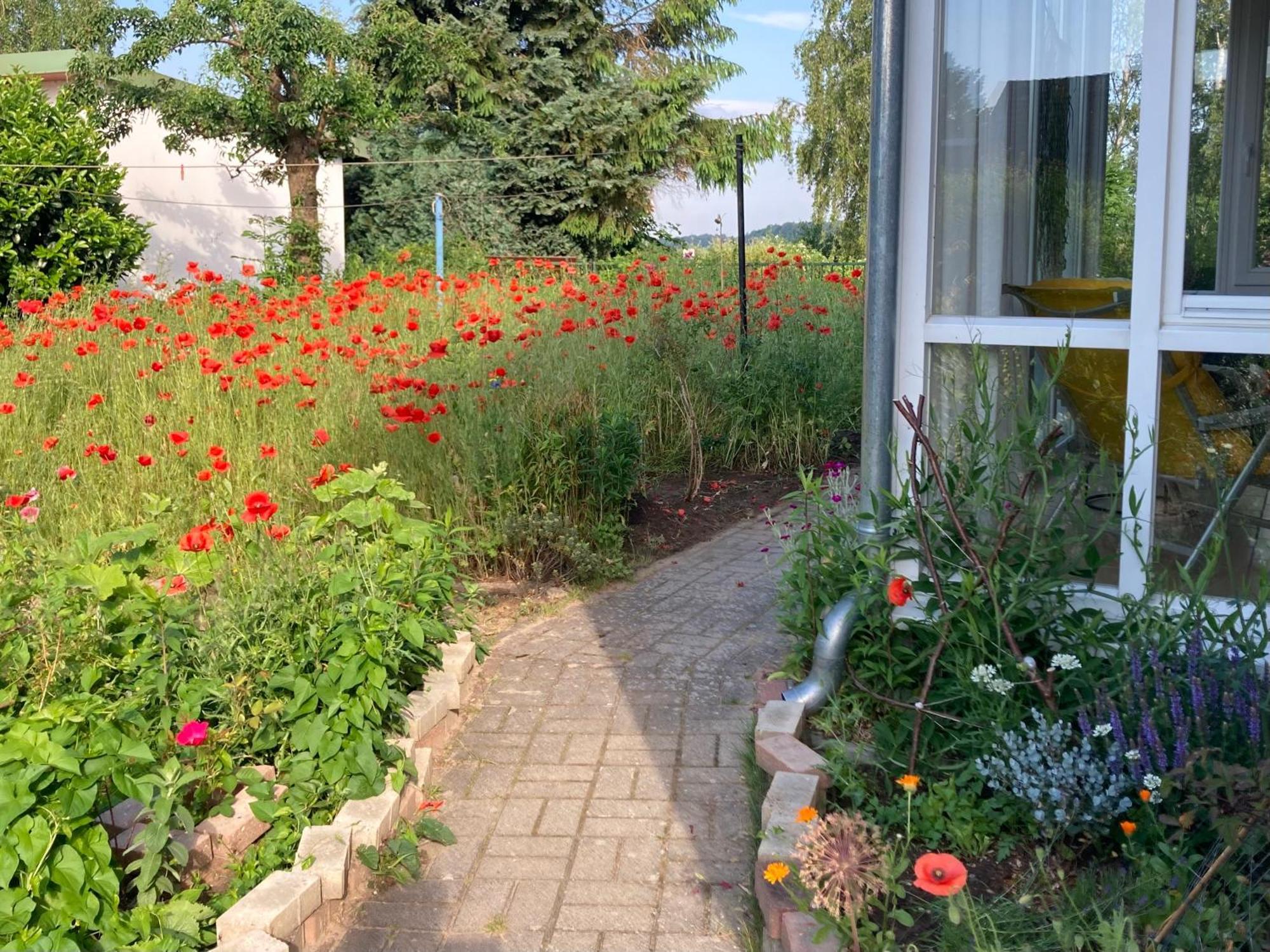 Zecherin Ferienhaus Am Wasser Im Gruenen מראה חיצוני תמונה